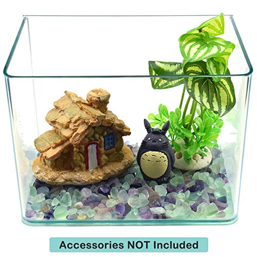 Your one-stop shop for diverse, top-quality aquarium supplies and accessories