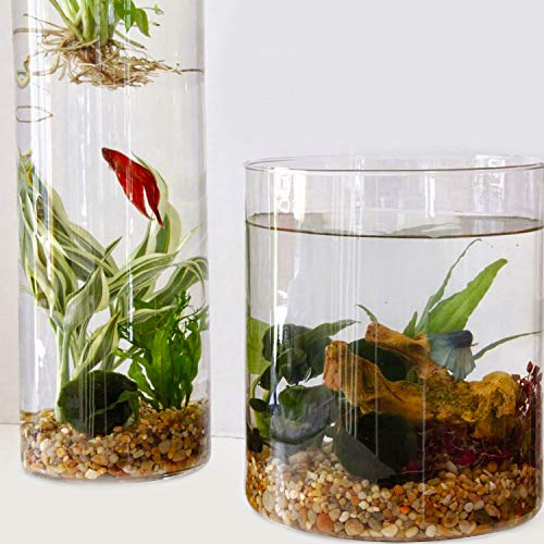 Your one-stop shop for diverse, top-quality aquarium supplies and accessories