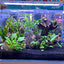 Your one-stop shop for diverse, top-quality aquarium supplies and accessories