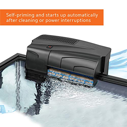 Your one-stop shop for diverse, top-quality aquarium supplies and accessories