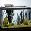 Your one-stop shop for diverse, top-quality aquarium supplies and accessories