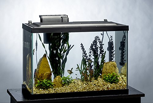 Your one-stop shop for diverse, top-quality aquarium supplies and accessories
