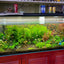 Your one-stop shop for diverse, top-quality aquarium supplies and accessories