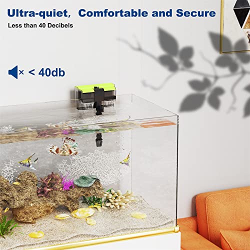 Your one-stop shop for diverse, top-quality aquarium supplies and accessories
