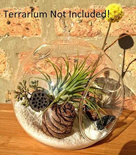 Your one-stop shop for diverse, top-quality aquarium supplies and accessories