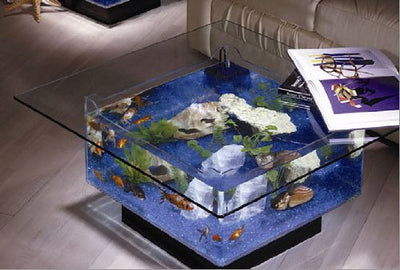 Your one-stop shop for diverse, top-quality aquarium supplies and accessories