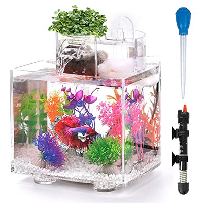 Your one-stop shop for diverse, top-quality aquarium supplies and accessories