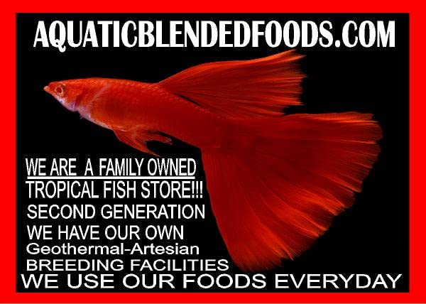 Your one-stop shop for diverse, top-quality aquarium supplies and accessories