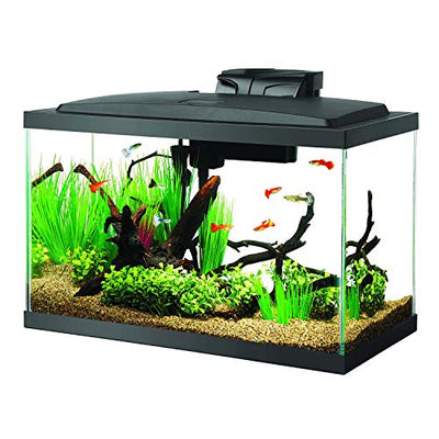 Your one-stop shop for diverse, top-quality aquarium supplies and accessories