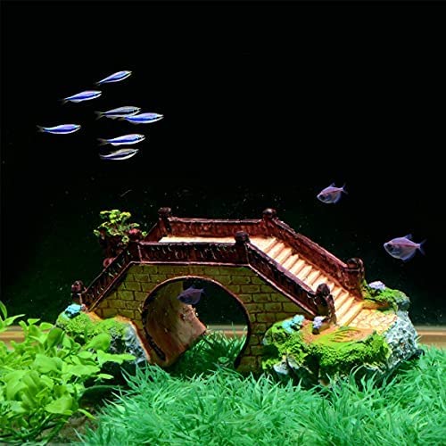 Your one-stop shop for diverse, top-quality aquarium supplies and accessories