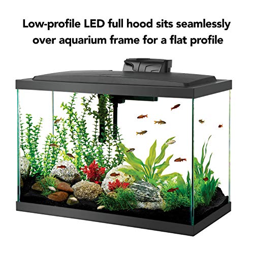 Your one-stop shop for diverse, top-quality aquarium supplies and accessories
