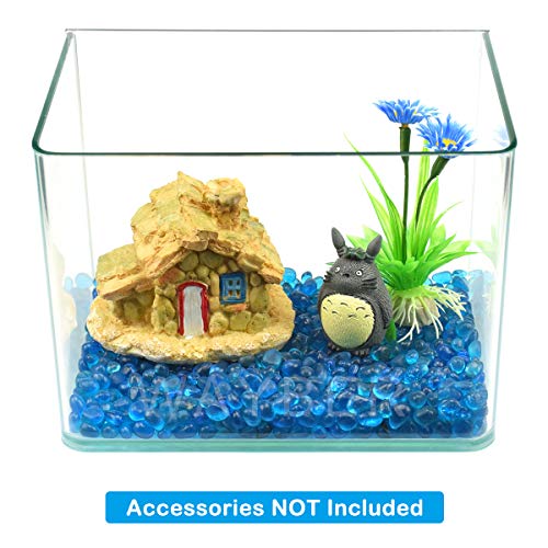 Your one-stop shop for diverse, top-quality aquarium supplies and accessories