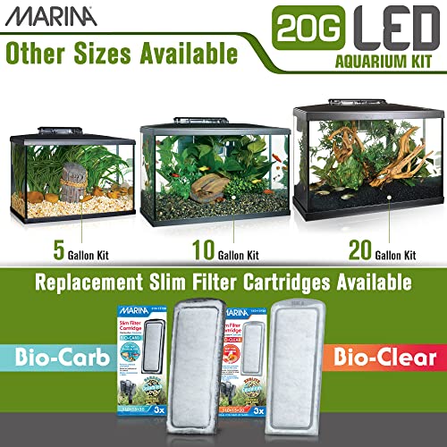 Your one-stop shop for diverse, top-quality aquarium supplies and accessories