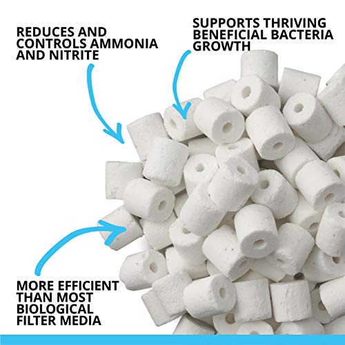 Your one-stop shop for diverse, top-quality aquarium supplies and accessories