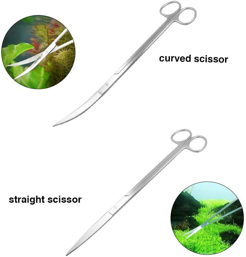 Your one-stop shop for diverse, top-quality aquarium supplies and accessories