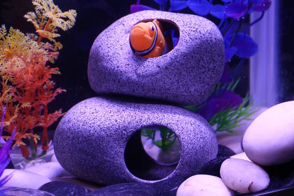 Your one-stop shop for diverse, top-quality aquarium supplies and accessories
