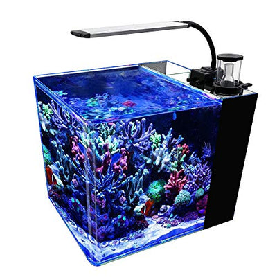 Your one-stop shop for diverse, top-quality aquarium supplies and accessories