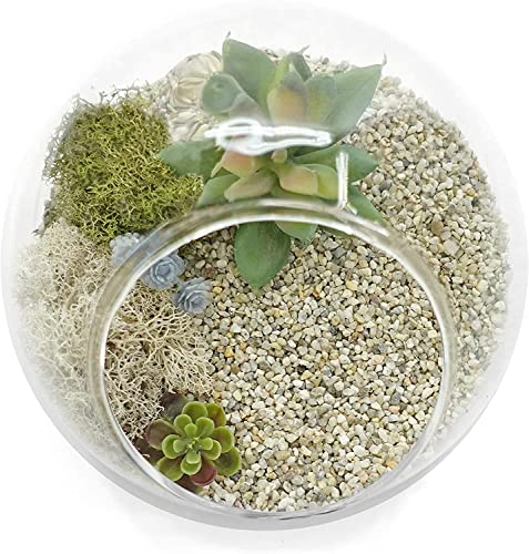 Your one-stop shop for diverse, top-quality aquarium supplies and accessories