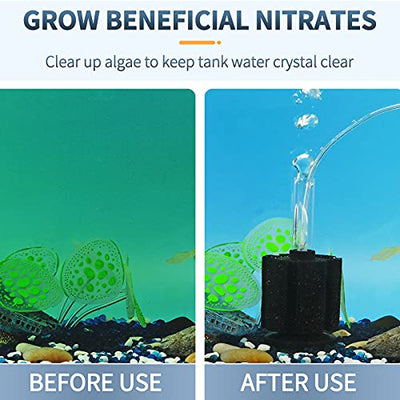 Your one-stop shop for diverse, top-quality aquarium supplies and accessories