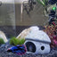Your one-stop shop for diverse, top-quality aquarium supplies and accessories
