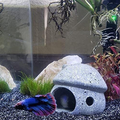 Your one-stop shop for diverse, top-quality aquarium supplies and accessories