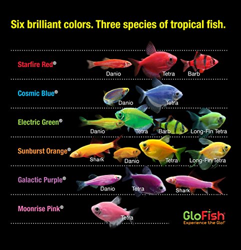 Your one-stop shop for diverse, top-quality aquarium supplies and accessories