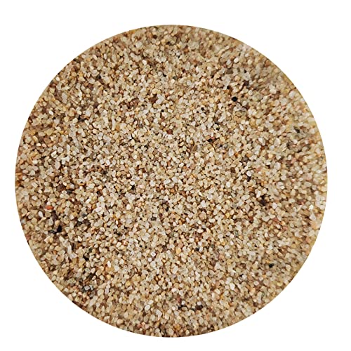 Your one-stop shop for diverse, top-quality aquarium supplies and accessories