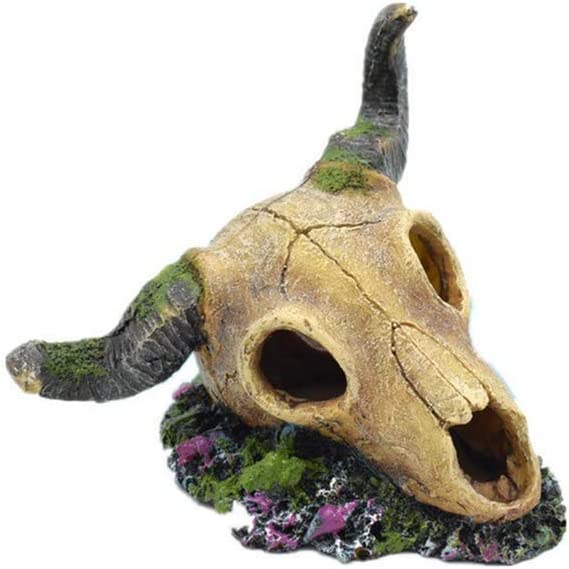 Your one-stop shop for diverse, top-quality aquarium supplies and accessories