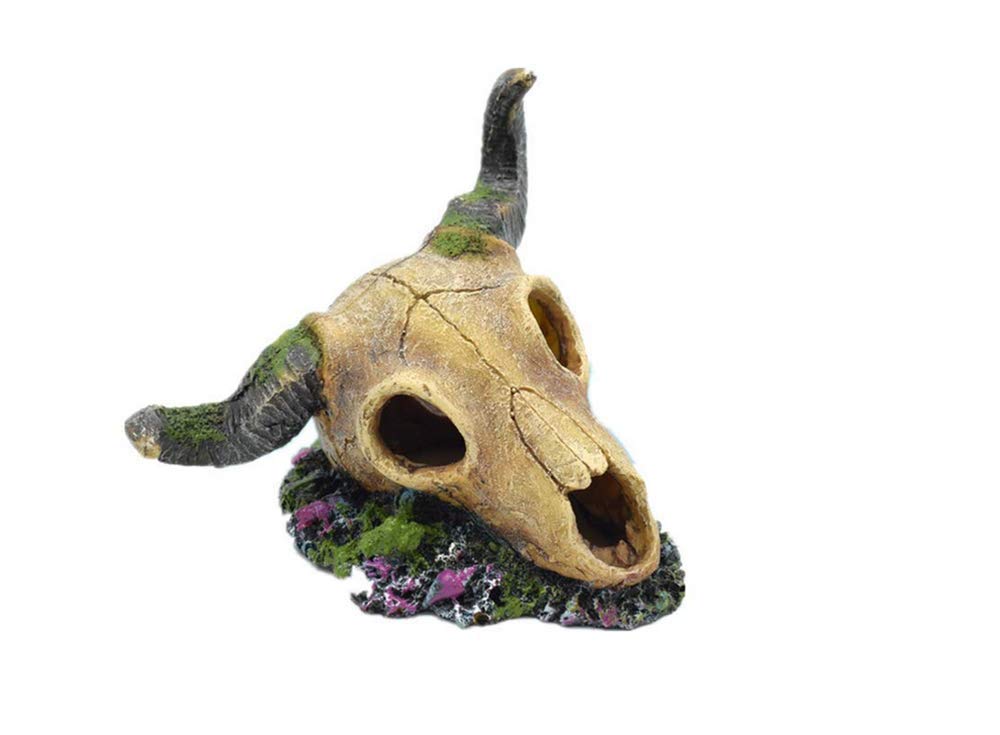 Your one-stop shop for diverse, top-quality aquarium supplies and accessories