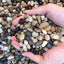 Your one-stop shop for diverse, top-quality aquarium supplies and accessories