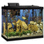 Your one-stop shop for diverse, top-quality aquarium supplies and accessories