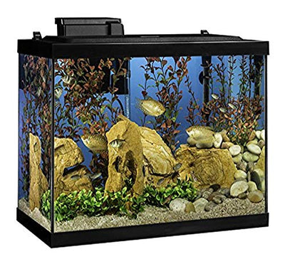 Your one-stop shop for diverse, top-quality aquarium supplies and accessories