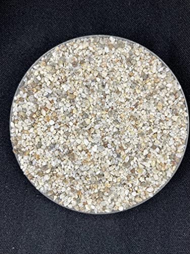 Your one-stop shop for diverse, top-quality aquarium supplies and accessories