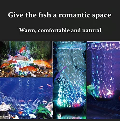 Your one-stop shop for diverse, top-quality aquarium supplies and accessories