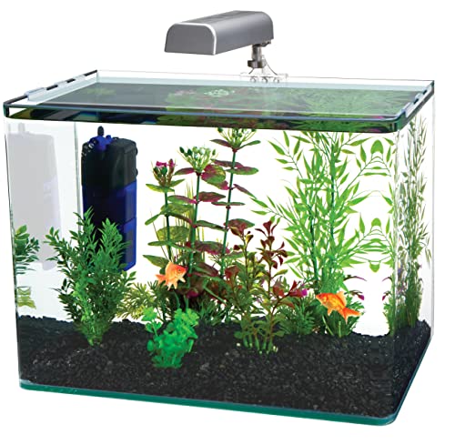 Your one-stop shop for diverse, top-quality aquarium supplies and accessories