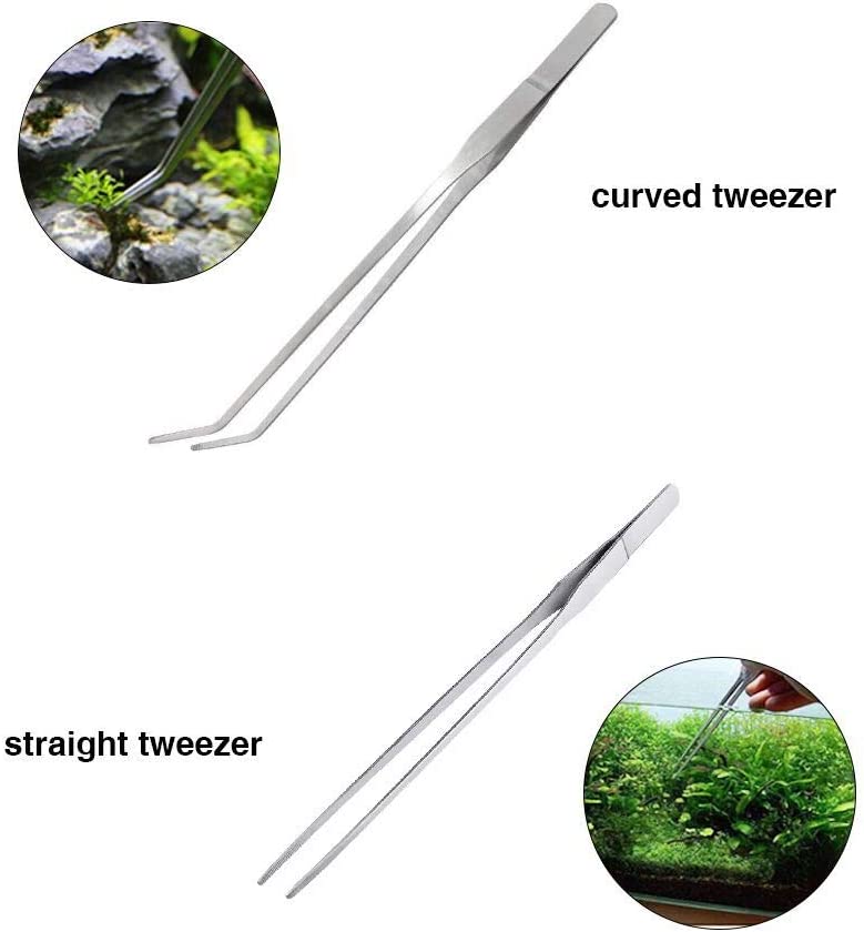 Your one-stop shop for diverse, top-quality aquarium supplies and accessories