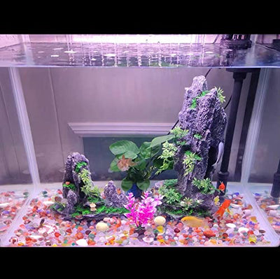 Your one-stop shop for diverse, top-quality aquarium supplies and accessories