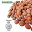 Your one-stop shop for diverse, top-quality aquarium supplies and accessories