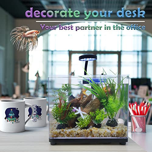best accessories for a beta fish tank HEURYTEP Betta Fish Tank with Quiet Filter & Lighting (3 Modes), 2 Gal – Supply AG