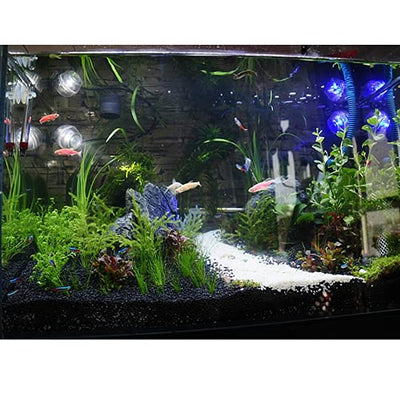 Your one-stop shop for diverse, top-quality aquarium supplies and accessories