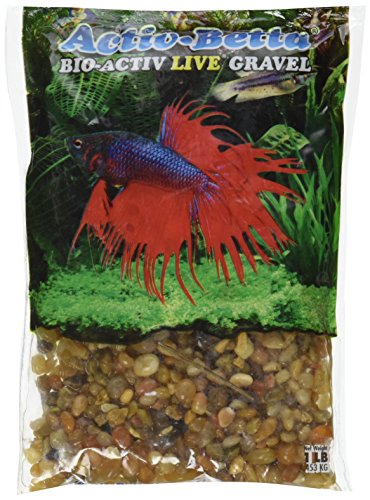 Your one-stop shop for diverse, top-quality aquarium supplies and accessories