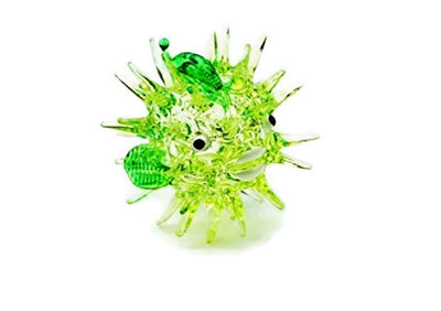 Your one-stop shop for diverse, top-quality aquarium supplies and accessories