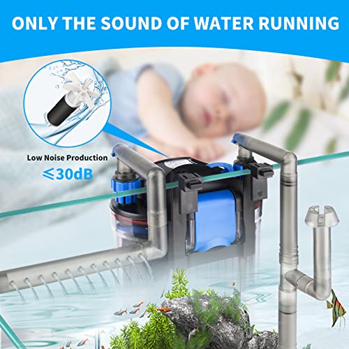 Your one-stop shop for diverse, top-quality aquarium supplies and accessories