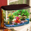 Your one-stop shop for diverse, top-quality aquarium supplies and accessories