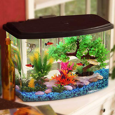 Your one-stop shop for diverse, top-quality aquarium supplies and accessories