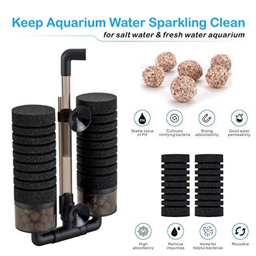Your one-stop shop for diverse, top-quality aquarium supplies and accessories