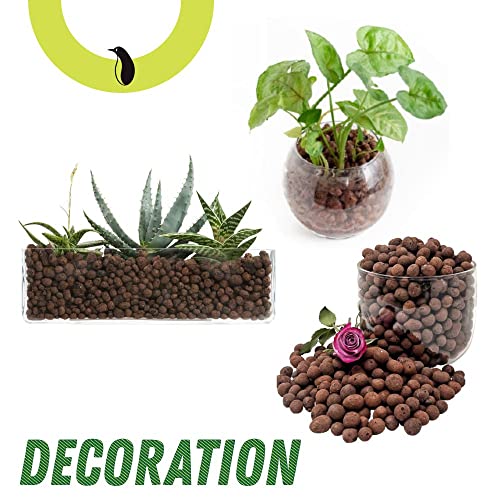 Your one-stop shop for diverse, top-quality aquarium supplies and accessories