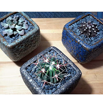 Your one-stop shop for diverse, top-quality aquarium supplies and accessories