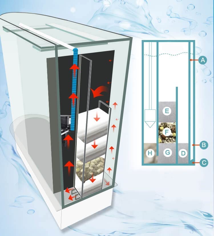 Your one-stop shop for diverse, top-quality aquarium supplies and accessories