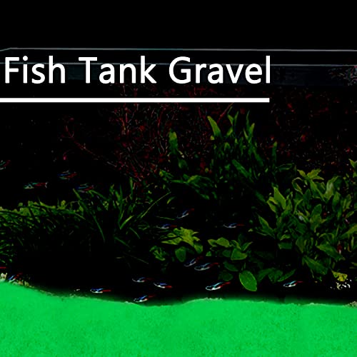 Your one-stop shop for diverse, top-quality aquarium supplies and accessories